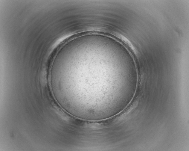 X0000115681019200911251747