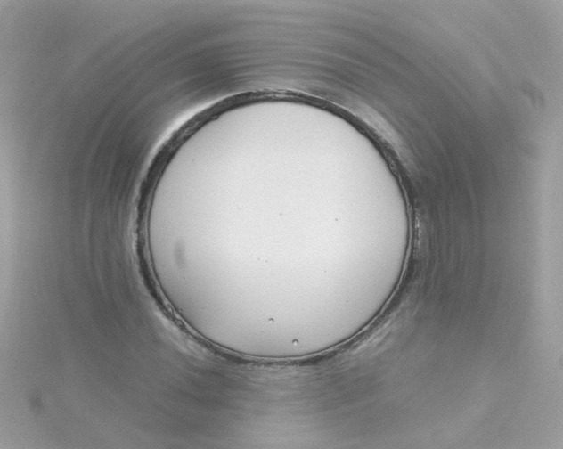 X0000115681020200911251747