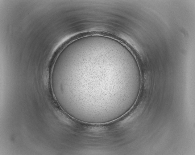 X0000115681021200911251747