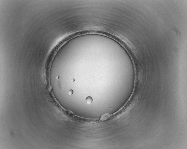 X0000115681022200911251747