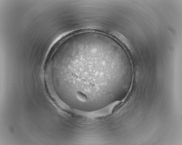 X0000115681024200911251747