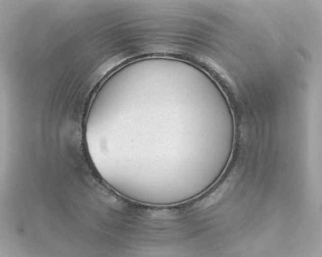 X0000115681025200911251747