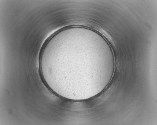 X0000115681028200911251747