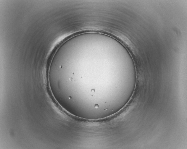 X0000115681030200911251747