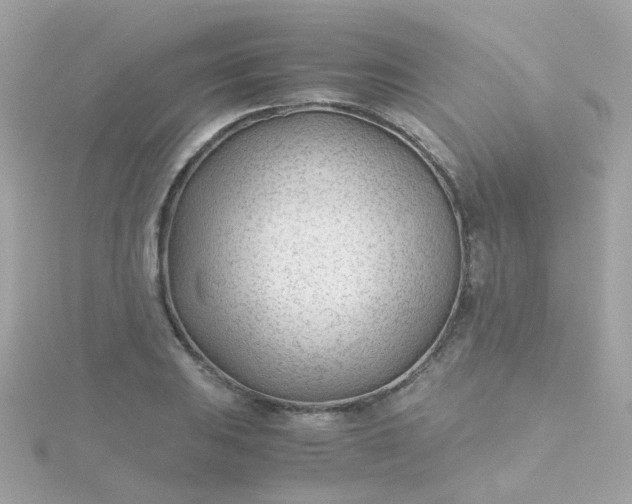 X0000115681031200911251747