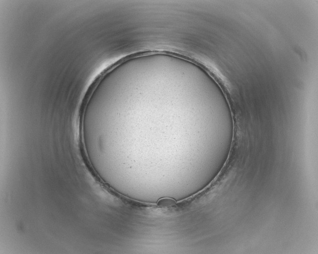 X0000115681032200911251747