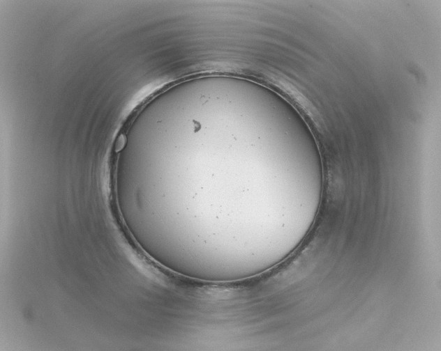 X0000115681034200911251747