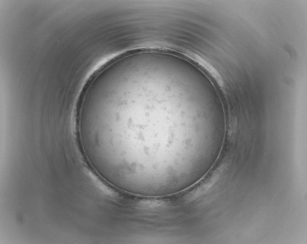 X0000115681037200911251747