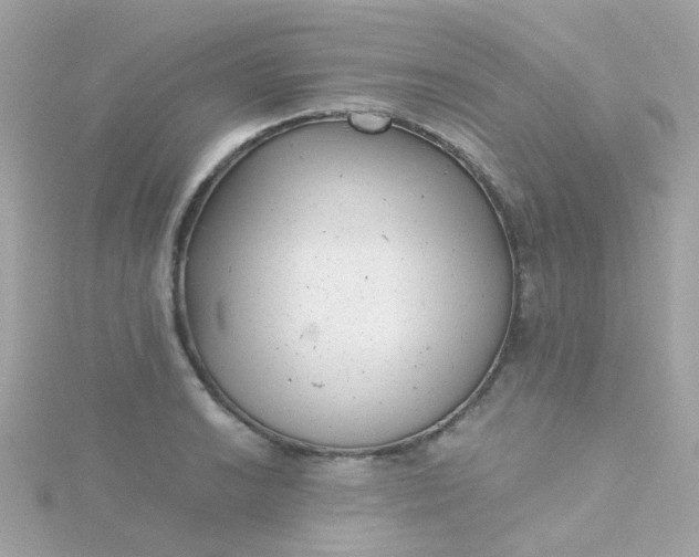 X0000115681038200911251747