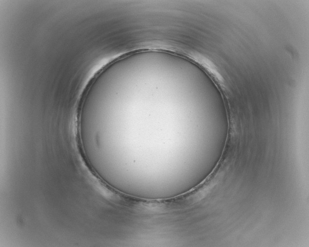 X0000115681040200911251747