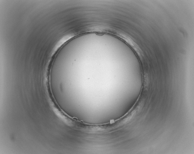 X0000115681042200911251747