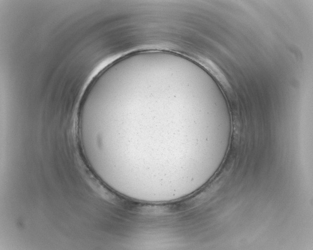 X0000115681044200911251747