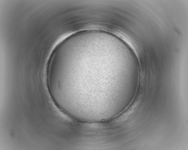 X0000115681045200911251747