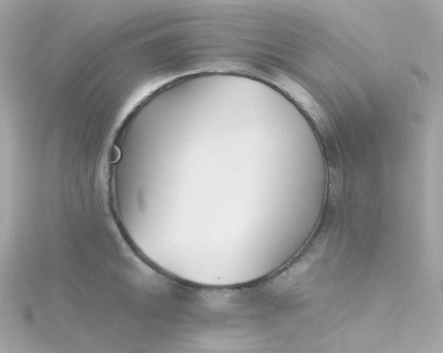 X0000115681046200911251747