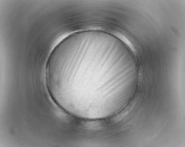 X0000115681047200911251747