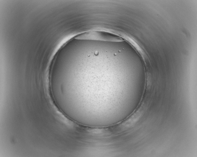 X0000115681048200911251747