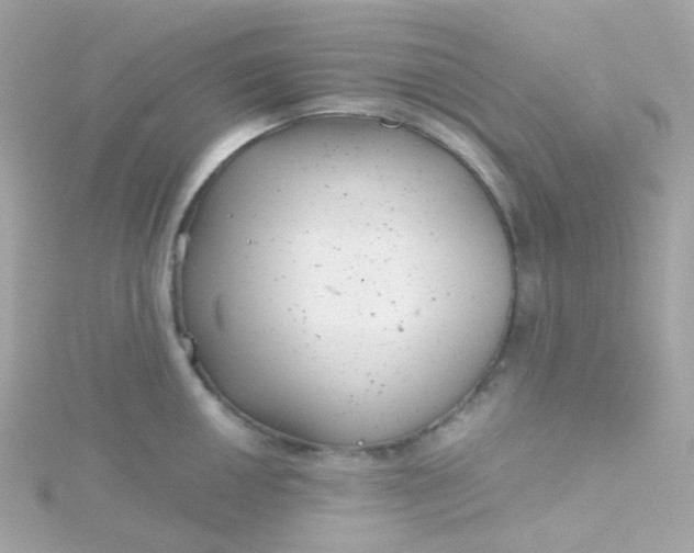 X0000115681050200911251748