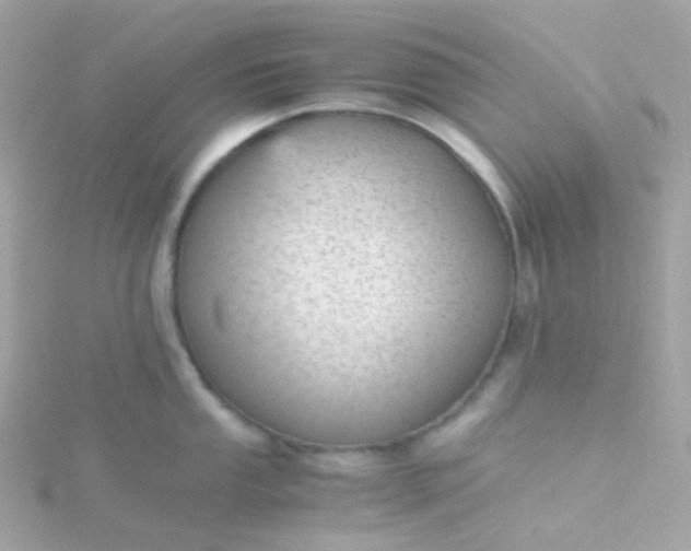 X0000115681053200911251748