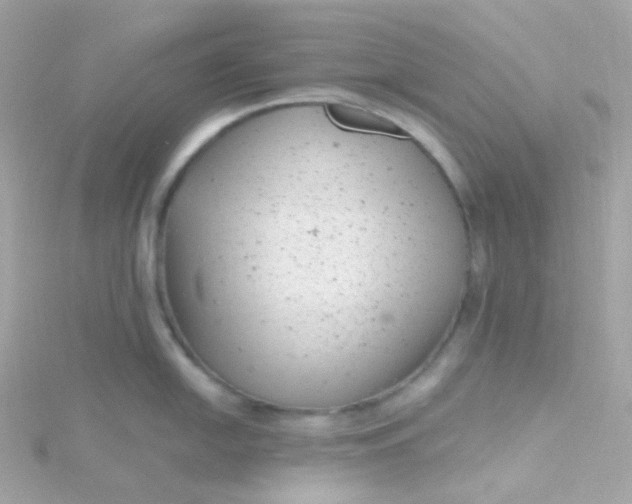 X0000115681054200911251748