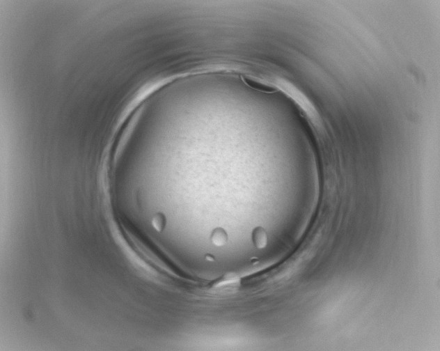 X0000115681055200911251748