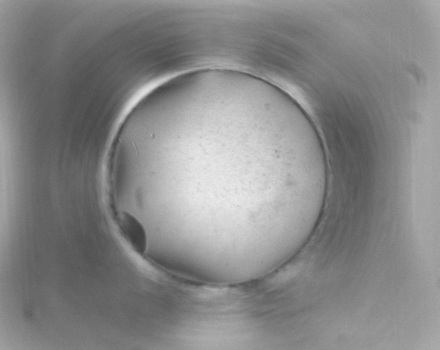 X0000115681056200911251748