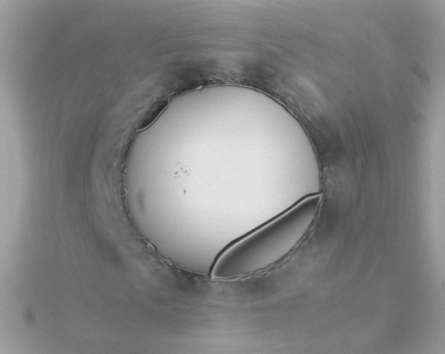 X0000115681057200911251747