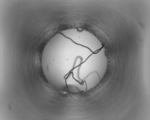 X0000115681058200911251747