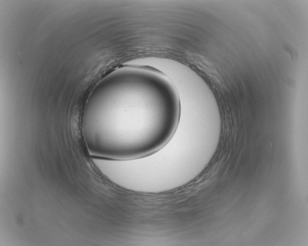 X0000115681060200911251747