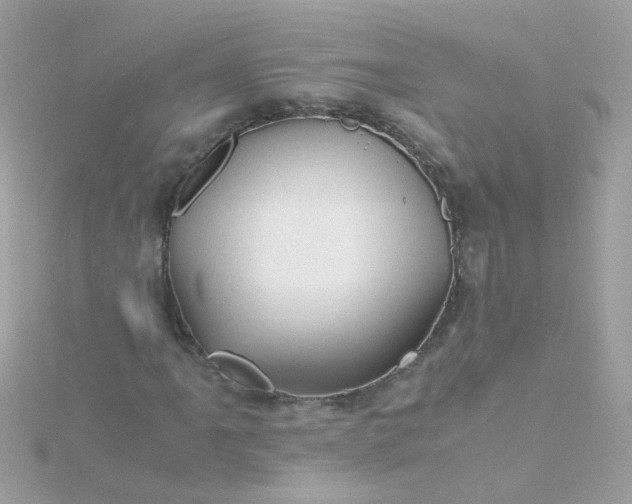 X0000115681061200911251747