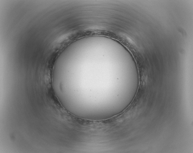 X0000115681062200911251747