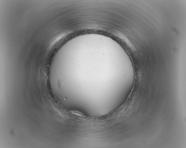 X0000115681064200911251747