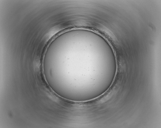 X0000115681065200911251747