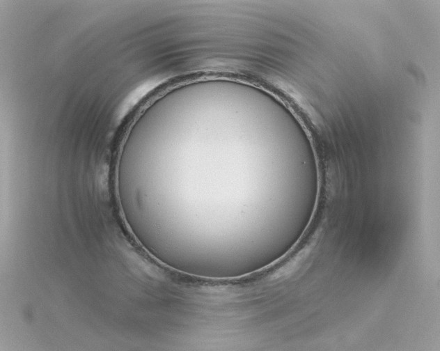 X0000115681066200911251747