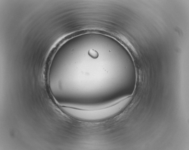 X0000115681068200911251747