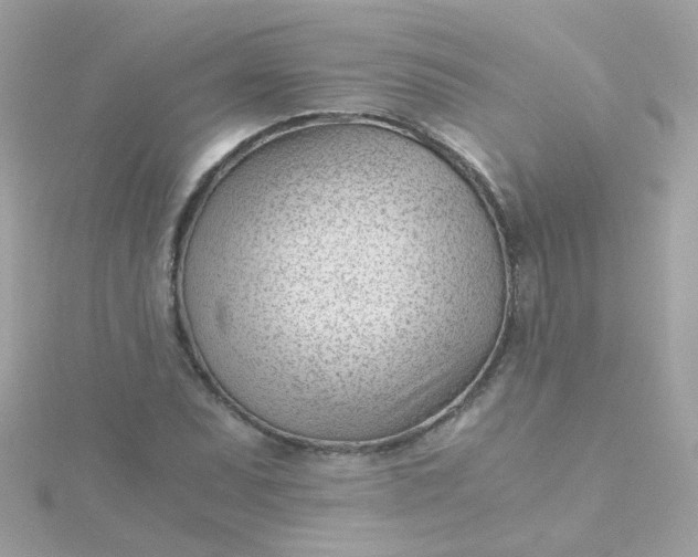 X0000115681071200911251747