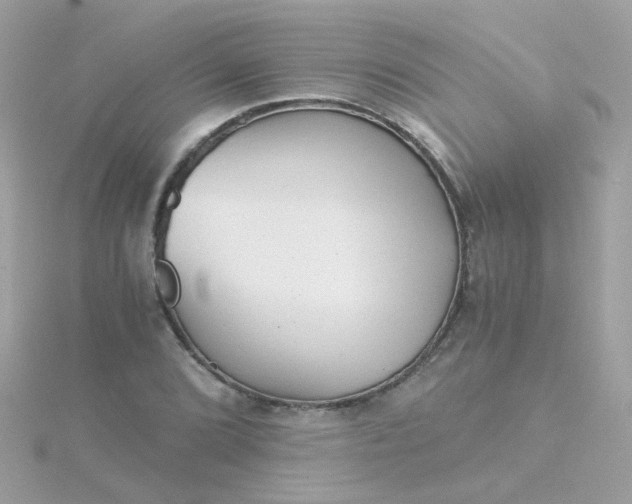 X0000115681072200911251747