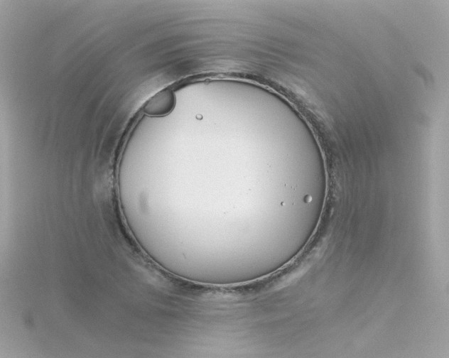 X0000115681073200911251747