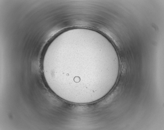 X0000115681074200911251747