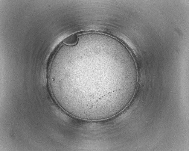 X0000115681075200911251747