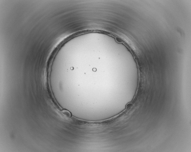 X0000115681076200911251747