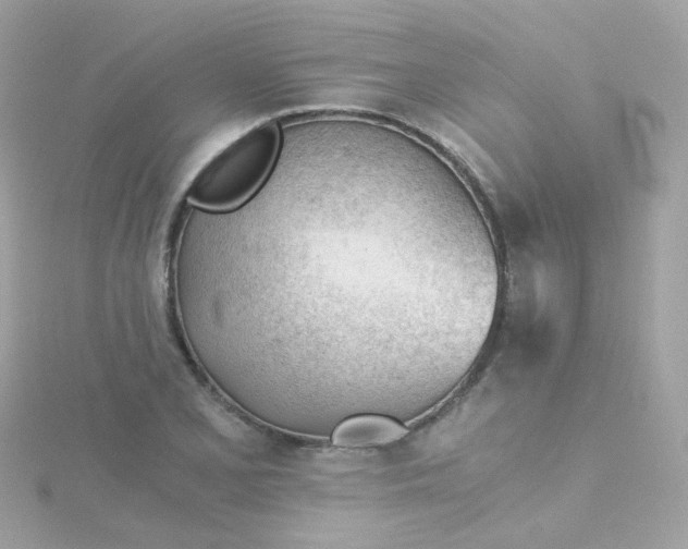 X0000115681077200911251747