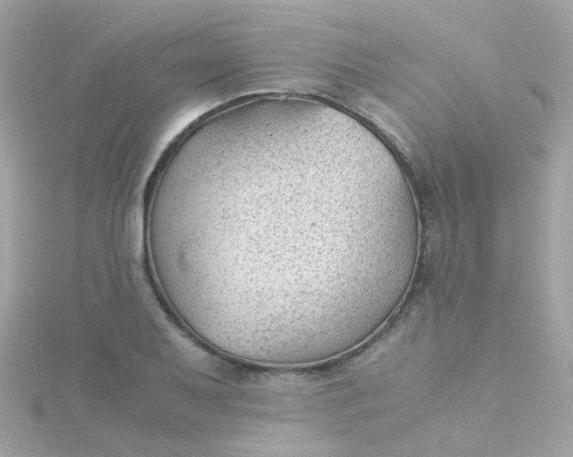 X0000115681079200911251747