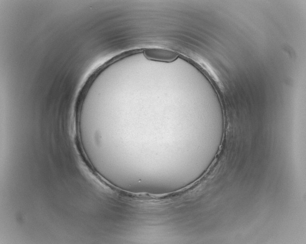 X0000115681080200911251747