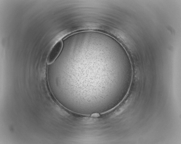 X0000115681081200911251747