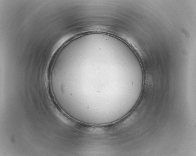 X0000115681082200911251746