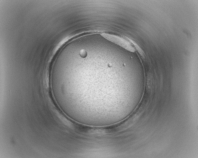 X0000115681083200911251746