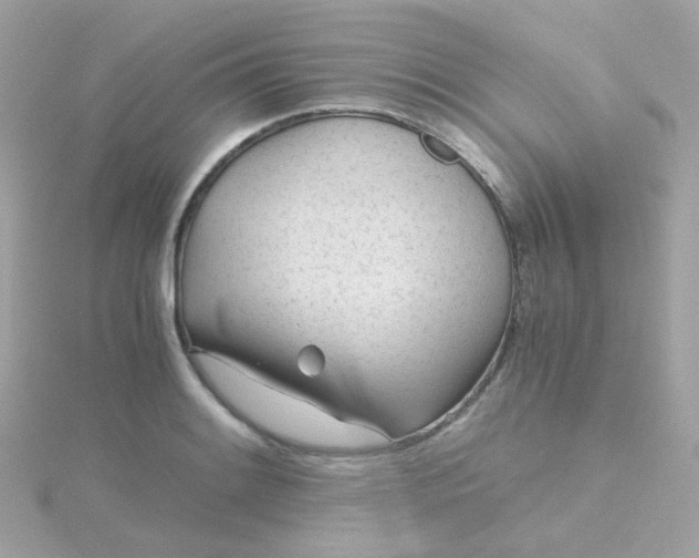 X0000115681084200911251746