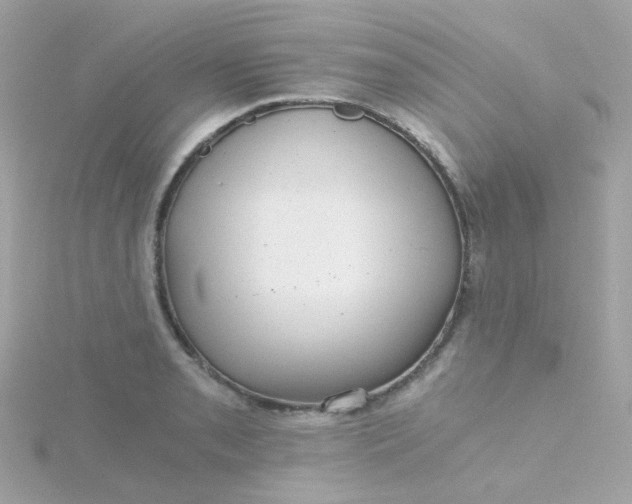 X0000115681085200911251746