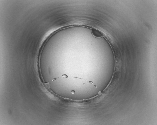 X0000115681086200911251746