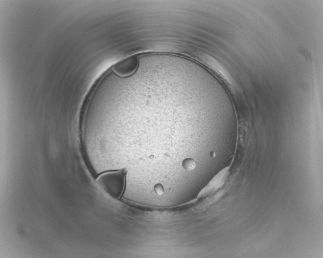 X0000115681087200911251746